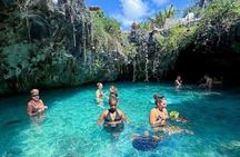 Explore Zanzibar with Jozani Red Colobus Monkey and Turtle Swim