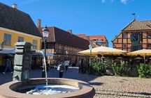 Malmo Highlights in 4 Hours - Train & Fika Included