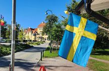 Malmo Highlights in 4 Hours - Train & Fika Included