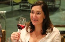 Ultimate South African Wine Tour Sip Savor and Explore