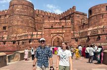 2-Day Taj Mahal Sunrise & Chambal Safari Tour from Delhi