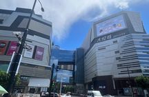 Shanghai: Anime and Pop Culture Tour with Shopping