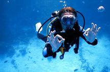 Hurghada Diving for Certified Diver with Lunch Drinks Transfer