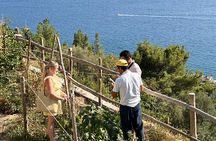 Private Cooking Class on the Path of the Lemons