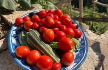 Private Cooking Class on the Path of the Lemons