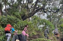 Mount Bisoke One-Day Hiking Adventure