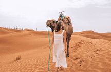 4-Day Tour from Marrakech to Fez via Merzouga Desert