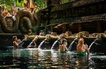 Ubud : Waterfalls, Water Temple & Rice Terraces Private Tour 