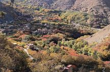 Marrakech: Atlas Mountains, private tour to berber vellages 