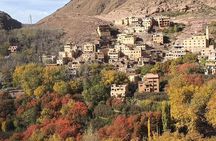 Marrakech: Atlas Mountains, private tour to berber vellages 