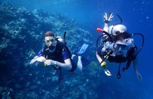 Hurghada Diving for Beginner with Lunch Drinks Transfer