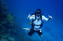 Hurghada Diving for Beginner with Lunch Drinks Transfer