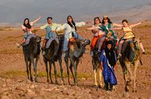 Agafay Desert with Omar: Sunset Quad, Camel & Dinner