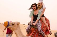 Dubai Desert Escape: Red Dunes Safari, Falcon, Camel & BBQ Dinner