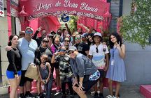 Puerto Plata City Tours from Amber Cove and Taino Bay 