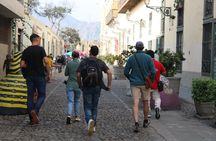 Lima with City Tour Flavor with Pisco Sour and Ceviche