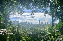 The Panama City: Hike & Sights Private Tour