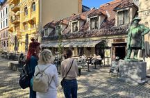 Oslo City Walk with Passionate Founder, shared/private (English)