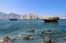Khasab Musandam Dhow Cruise Dolphin Watching and Snorkeling