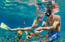 Hiking and Watersports Adventure in Marigot Bay St Lucia