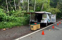 Wild & Scenic Rainforest Nature Walk (Day Time River & Swim)