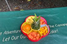 Wild & Scenic Rainforest Nature Walk (Day Time River & Swim)