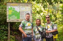 Wild & Scenic Rainforest Nature Walk (Day Time River & Swim)