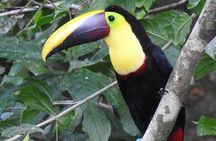 MONKEY PARK Guided Hiking Trails