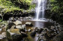 VIP Waimea Falls and Hiking Tour with Limousine Transport