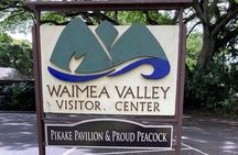 VIP Waimea Falls and Hiking Tour with Limousine Transport