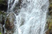 VIP Waimea Falls and Hiking Tour with Limousine Transport