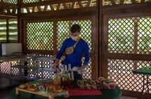 Corcovado Leona – Sirena Overnight Hike (2 Days/ 1 Night)