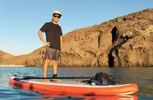 Snorkeling and Paddle Boarding Adventure in La Paz