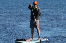 Snorkeling and Paddle Boarding Adventure in La Paz 