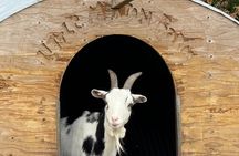 Santa Ynez Farm Tour