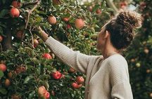 Santa Ynez Farm Tour