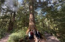 Whale Watching Depoe Bay Cannon Beach And Tillamook