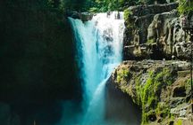 Ubud Highlights Private Tour All Inclusive with Jungle Swing