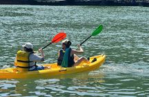Best Value Ha Long bay 1 day - Lunch, kayak, swimming, transfer