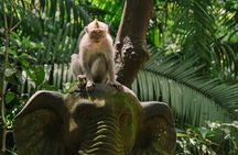 Ubud Highlights Private Tour All Inclusive with Jungle Swing