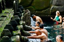 Ubud Highlights Private Tour All Inclusive with Jungle Swing