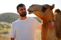 Short Private Desert Safari Tour with Camel Ride & Sand boarding