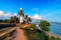 Galle Private Day Tours with Sea Turtles visit & Boat Safari