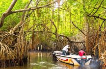 Galle Private Day Tours with Sea Turtles visit & Boat Safari