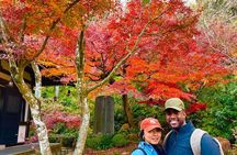 Kamakura Private Tour: Temples, Nature, and the Great Buddha 