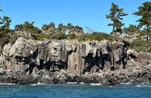 Small Group Tour in South Jeju including Yacht, Falls & Mt.Halla 