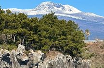 Small Group Tour in South Jeju including Yacht, Falls & Mt.Halla 