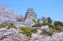 Himeji Castle Guided Tour and Premium Kobe Beef Lunch from Kyoto