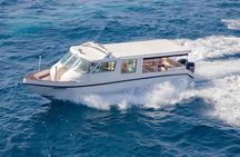 Maldives: Snorkeling with Nurse Sharks, Coral Reef, Sandbank Tour