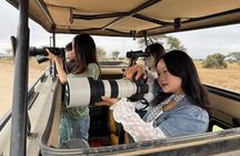 6 Days of Amboseli Naivasha Nakuru and Maasai Mara Budget Safari